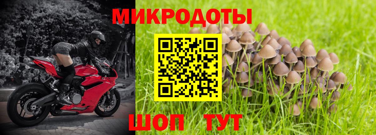 Псилоцибиновые грибы прущие грибы  где продают наркотики  Гай  Вход с VPN 